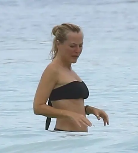 Image 3008250 from Gillian Anderson