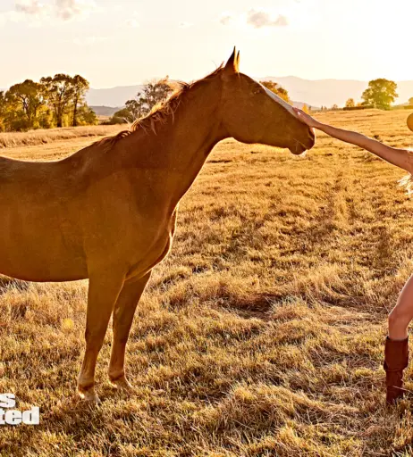 Image 3008201 from Vita Sidorkina