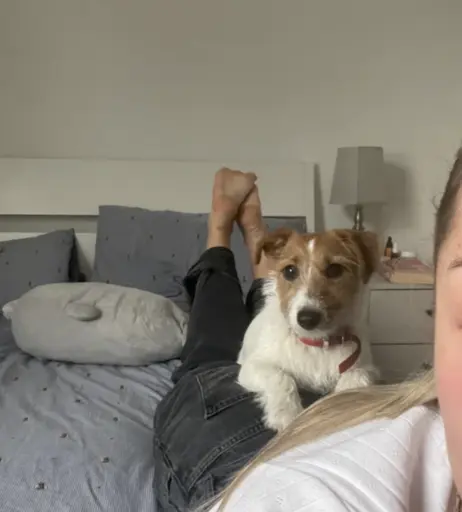 Image 617246 from Ailish Morrison