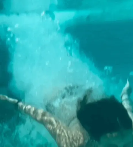 Image 617074 from Laure bv