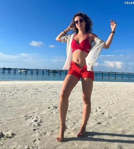 Image 617019 from Laure bv