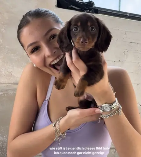 Image 637732 from Videozeugs