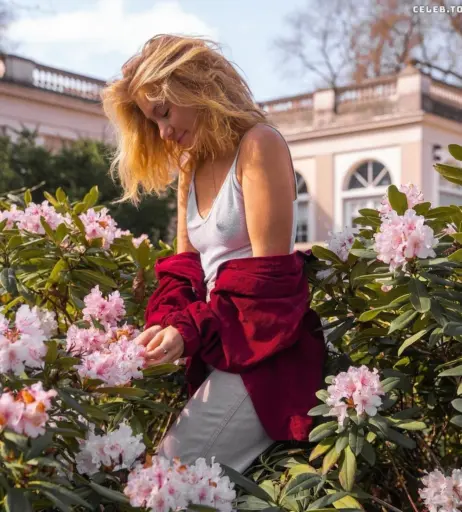 Image 632150 from lautgedachtertagtraum