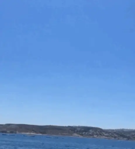 Image 686113 from Greta Engelfried