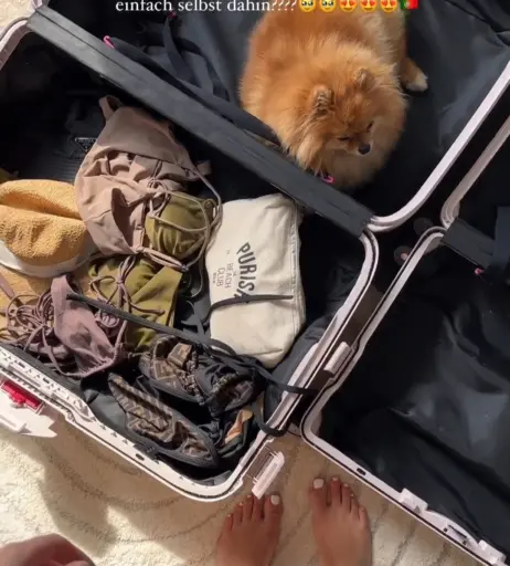 Image 685114 from Kim Schiele