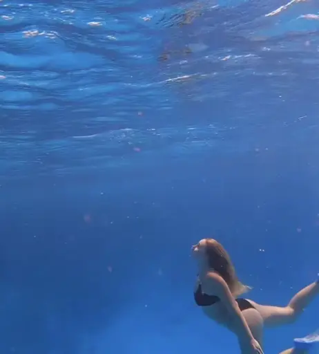 Image 698884 from Dalia