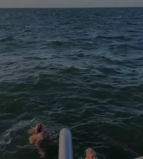 Image 696658 from Alrun Steiner