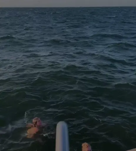 Image 696640 from Alrun Steiner