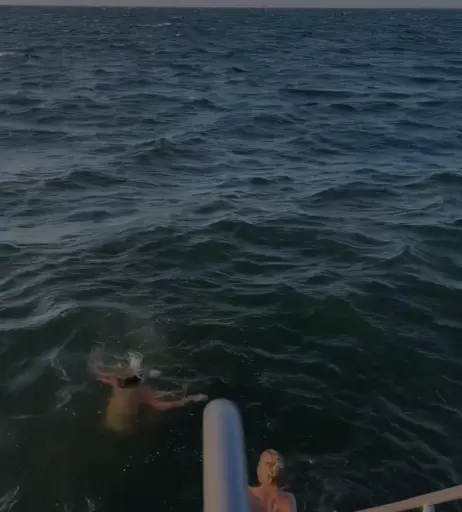 Image 696623 from Alrun Steiner