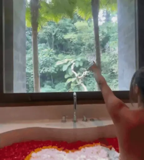 Image 696211 from edoppella