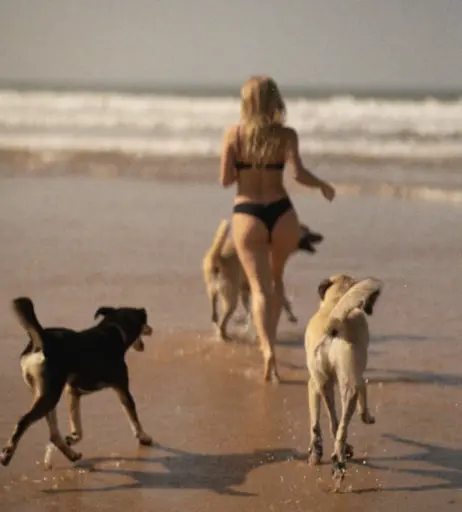 Image 640057 from luisemorgen