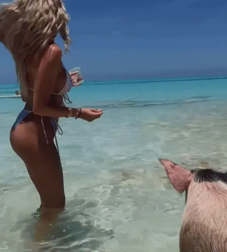 Image 659549 from Payton Ramolla