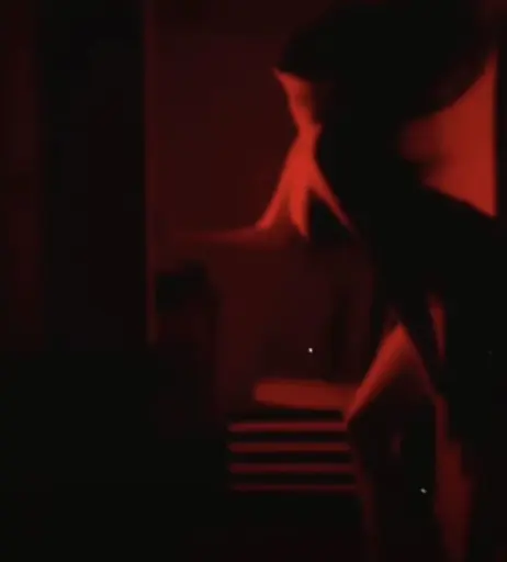 Image 657866 from Adriana Burova