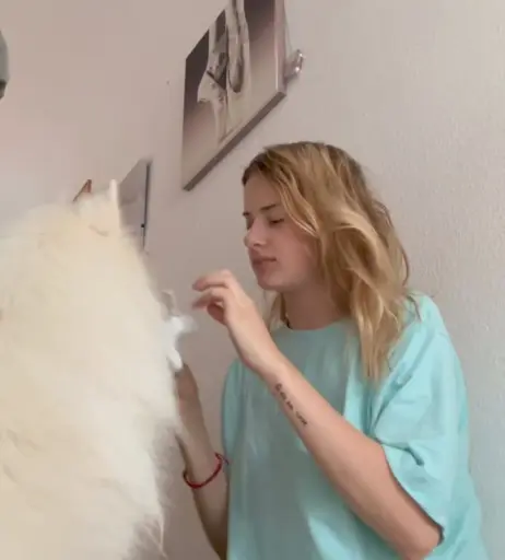 Image 657818 from Adriana Burova