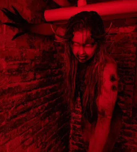 Image 654287 from Sophia Thiel