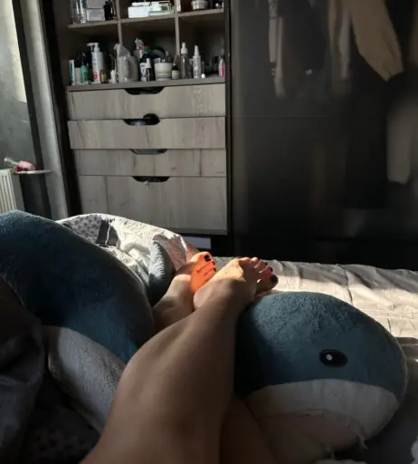 Image 653189 from Nikly