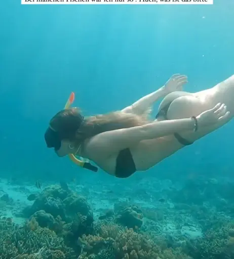 Image 651038 from Anna von Klinski