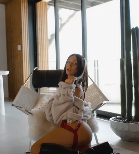 Image 666704 from Rachel Cook