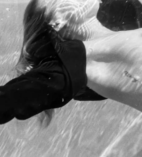 Image 661274 from Jaquelyn Reimann