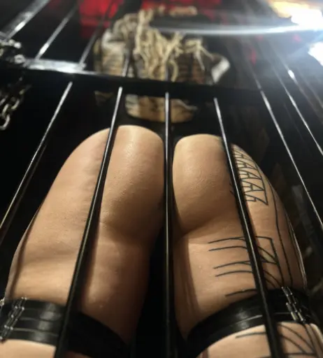 Image 678038 from Whereispoppie