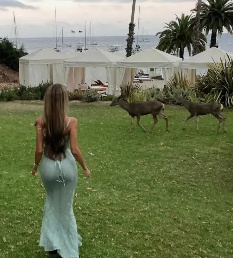 Image 670907 from Lexi Rivera