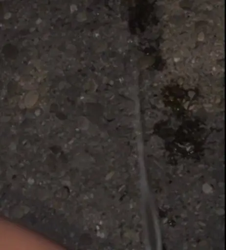 Image 607430 from Sandylein