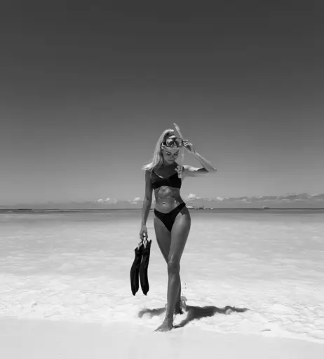 Image 605622 from Pamela Reif