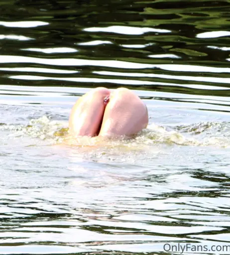 Image 5184826 from Antje Mönning