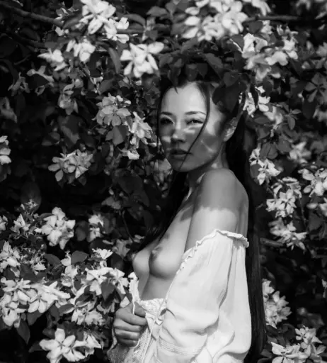 Image 517822 from Taisia Kovchak