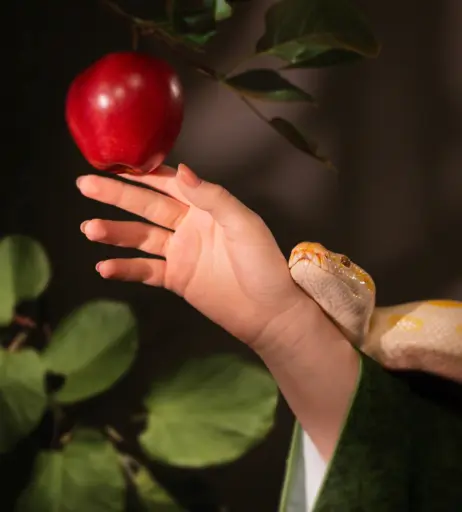 Image 5165467 from Lada Lyumos