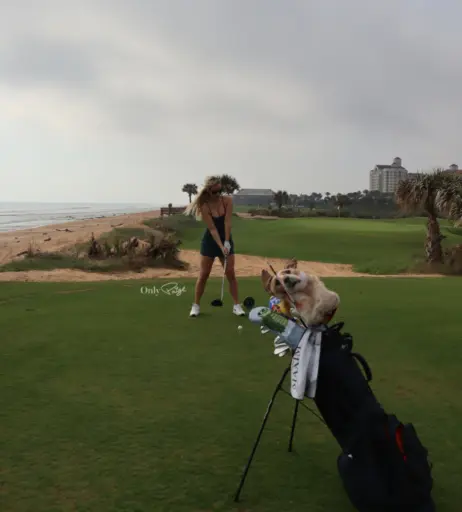 Image 514056 from Paige Spiranac