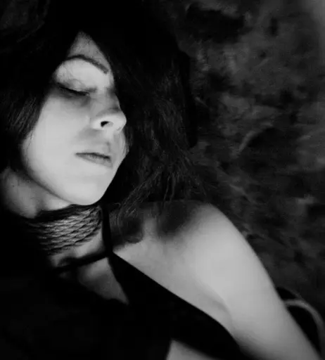 Image 511776 from Fuxteufelswild