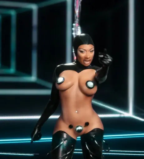 Image 5104049 from Megan thee stallion