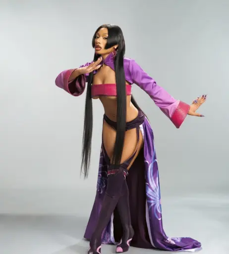 Image 5104031 from Megan thee stallion