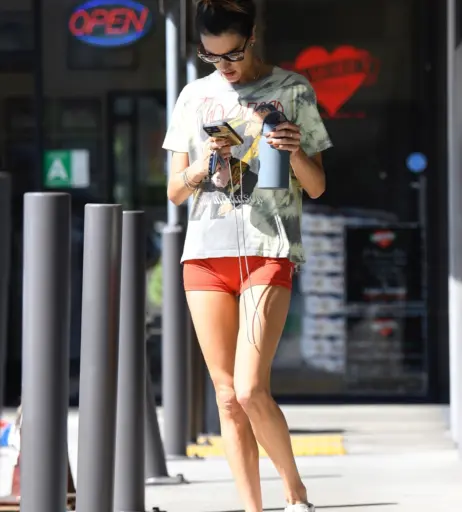 Image 5102146 from Alessandra Ambrosio
