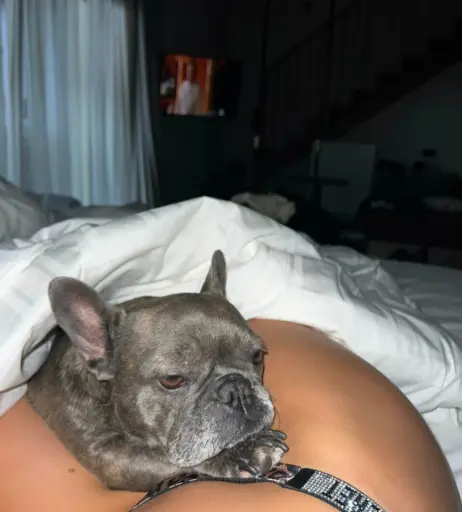 Image 510224 from Deborah_tmz