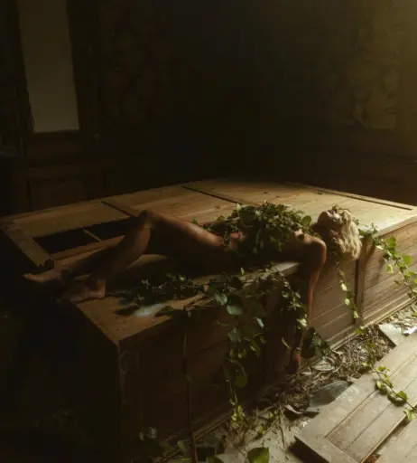 Image 5292723 from Roxane Eylaud O҉山L̥ͦⓄ (@0wlo_)