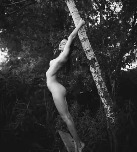 Image 5285610 from Anastasiia Zakharenko