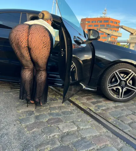 Image 528020 from Anna Schmidt