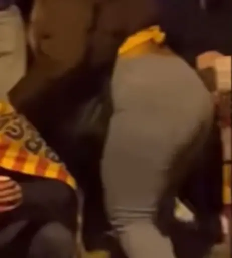 Image 525753 from Jana Barca