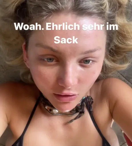 Image 524884 from Julia Wulf