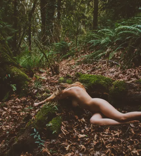 Image 5225480 from Kayla Coyote