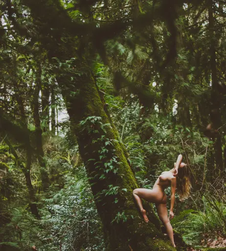 Image 5225139 from Kayla Coyote