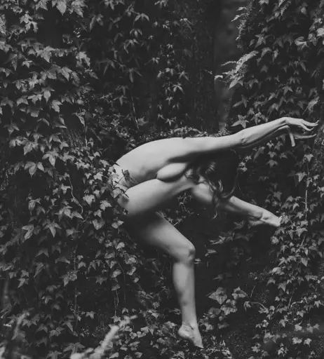Image 5224502 from Kayla Coyote