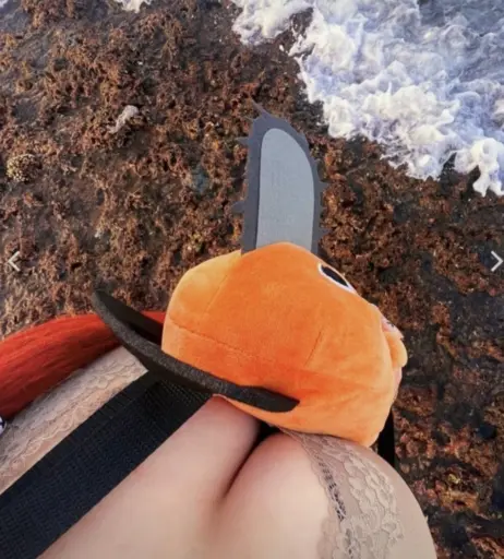 Image 522054 from fesch6