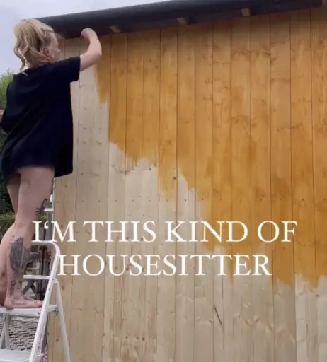 Image 520458 from Denise Schwitalle