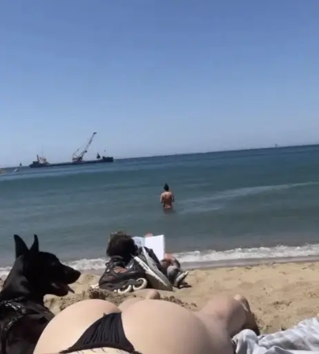 Image 536031 from Viktoria Krause