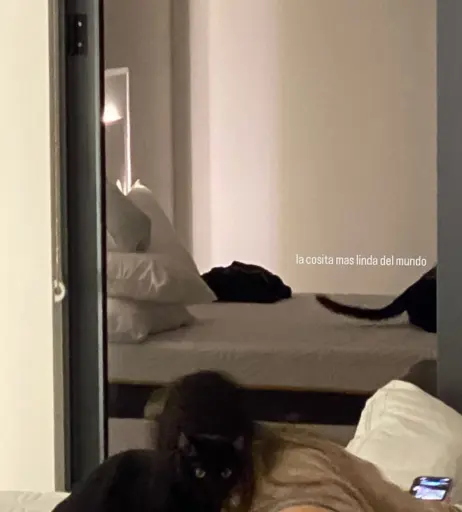 Image 5316553 from Jilikat/thicktachi