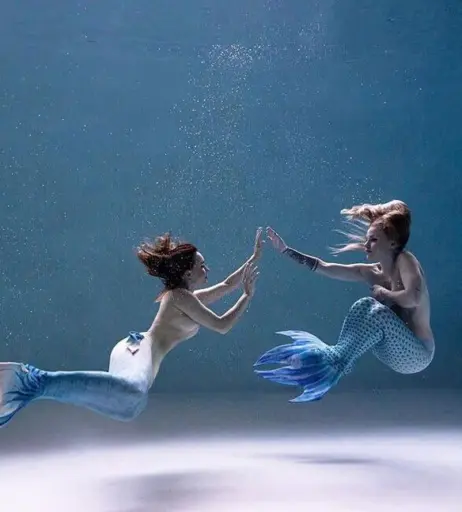 Image 5312879 from Emy LTR