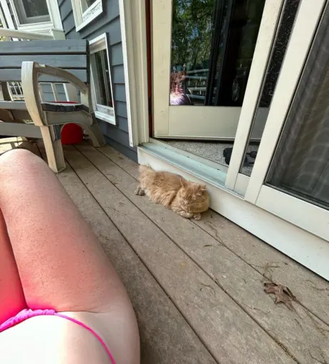 Image 5305273 from Kenziemahar / Prettygingergirl535